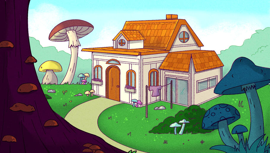 Environment Studies